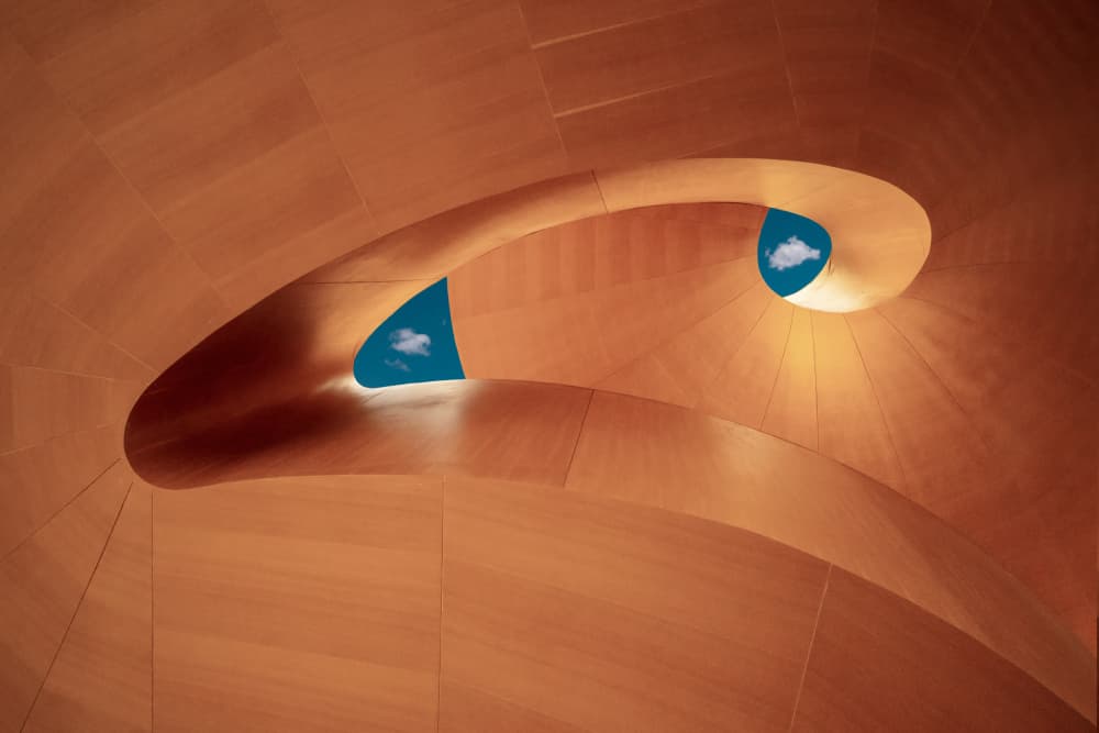 Curved Wood Sky View by Tony Xu — canvas wall art