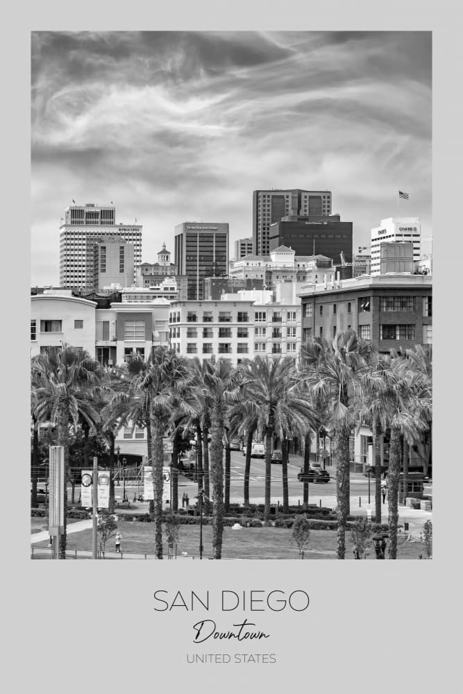 San Diego Downtown Palms by Melanie Viola — canvas wall art