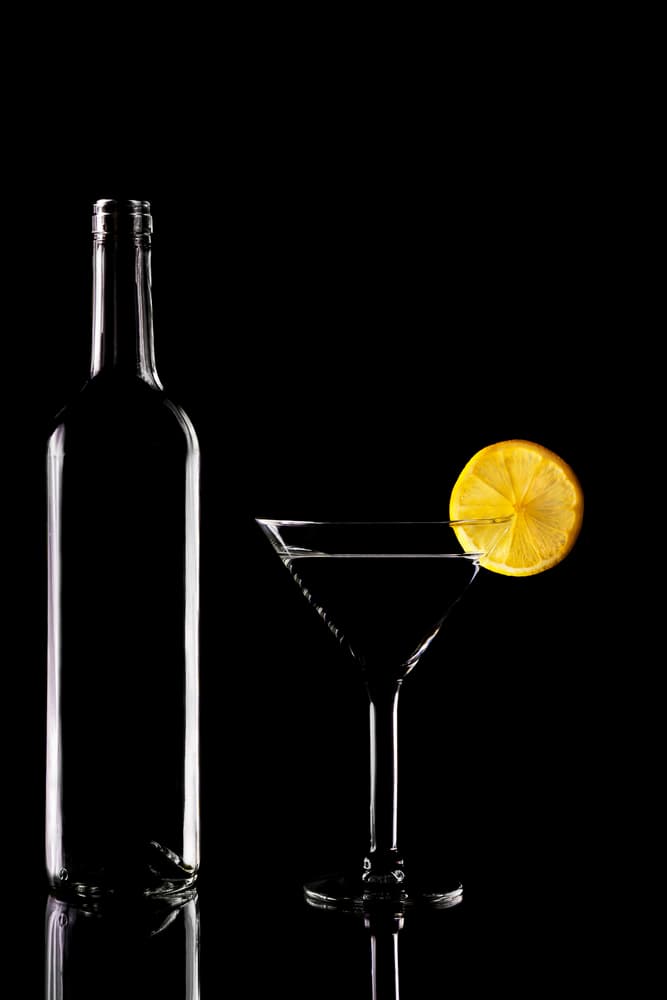 Elegant Martini Silhouette by Stephen Clough — canvas wall art