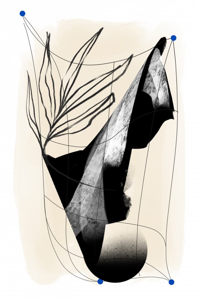 Elegant Abstract Botanical by Jilli Darling — canvas wall art