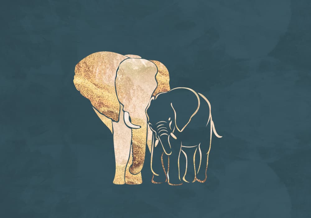 Golden Elephant Family by Sarah Manovski — canvas wall art