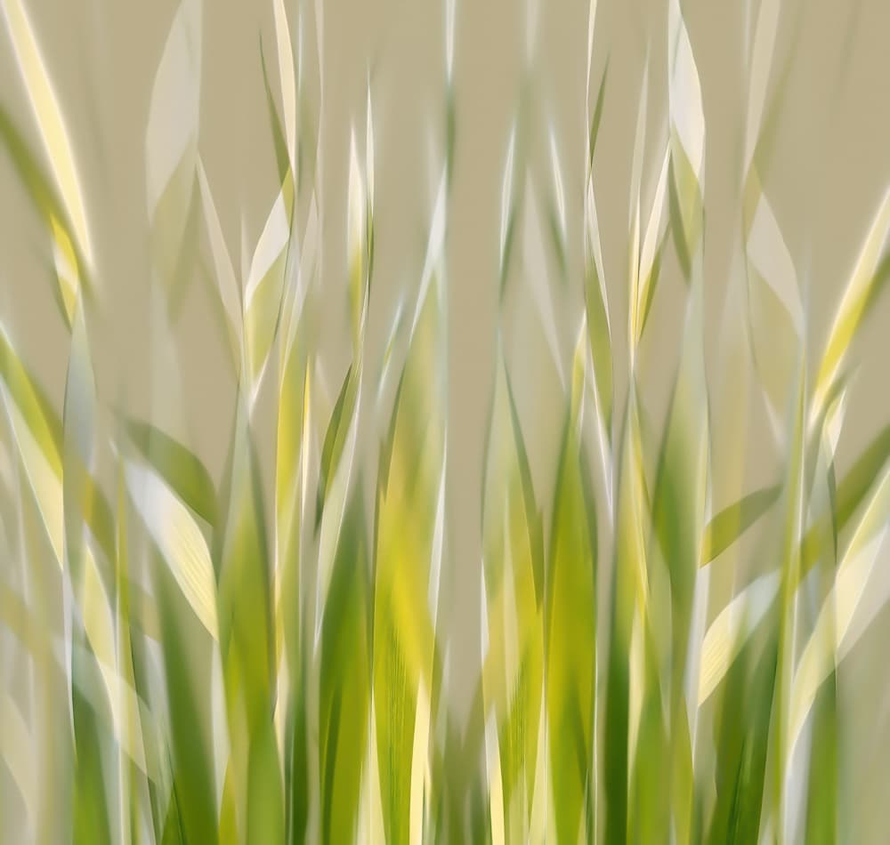 Dancing reed by Nel Talen — canvas wall art