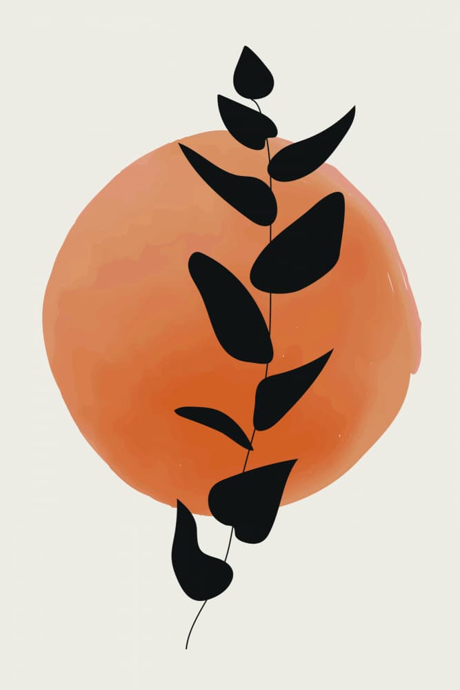 Desert Sun Botanical by jay stanley — canvas wall art