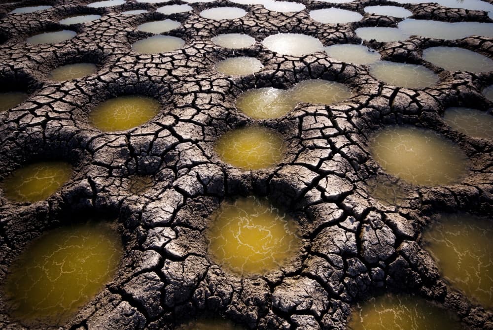 Cracked Earth Puddles by Miki Meir Levi — canvas wall art