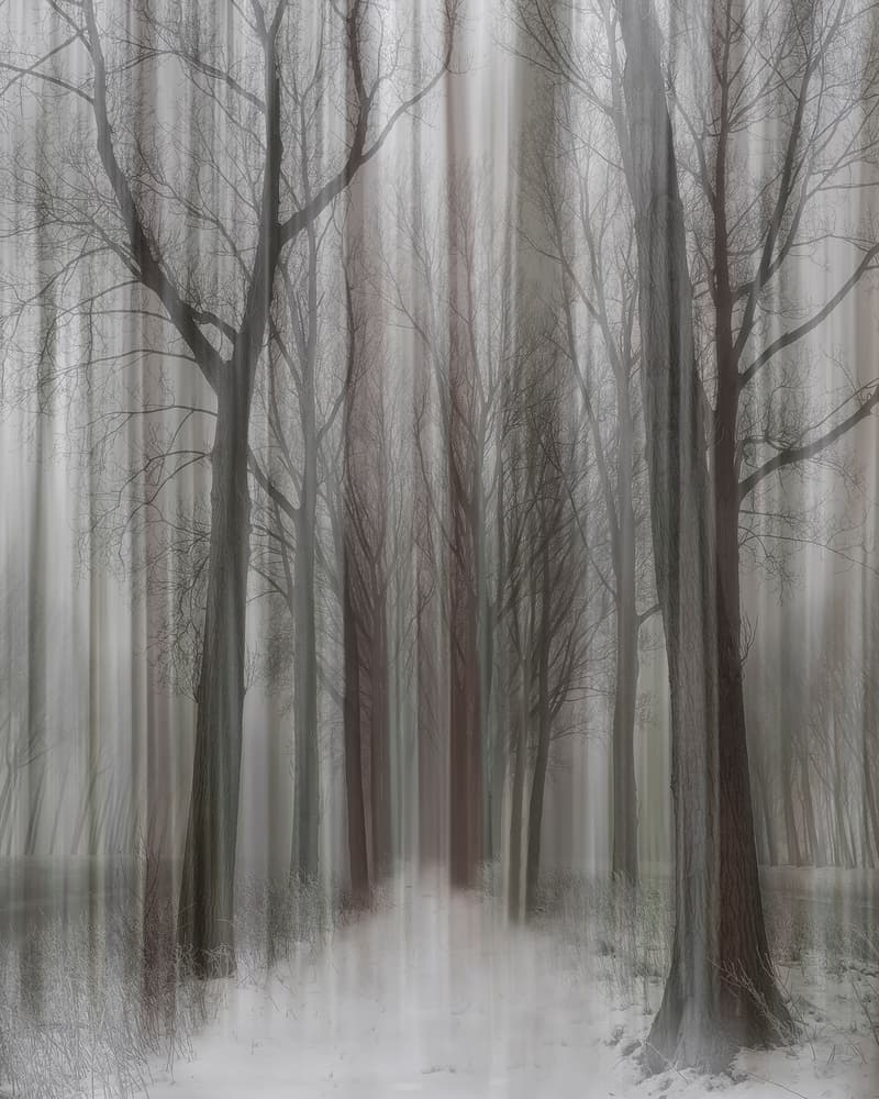 Blurred Winter Forest Path by Yvette Depaepe — canvas wall art