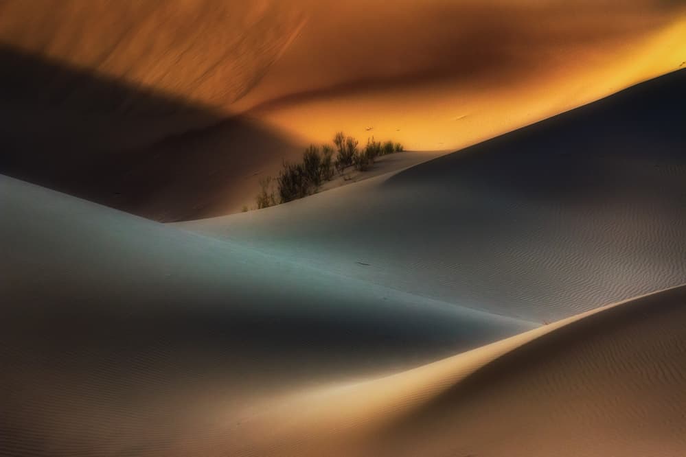 Golden Desert Shadows by Babak Mehrafshar — canvas wall art