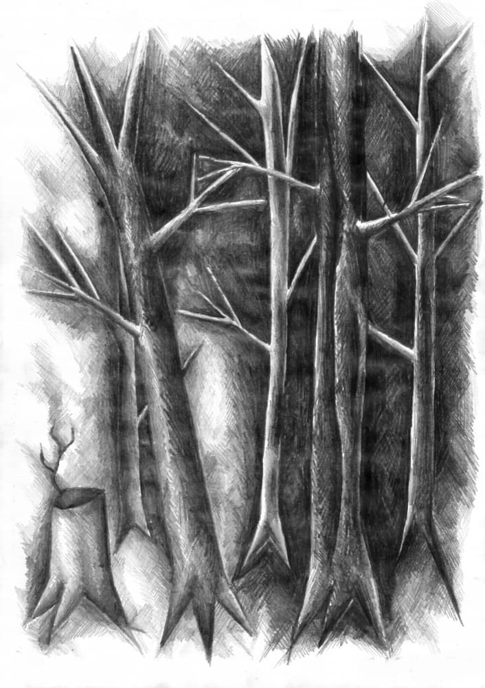 Dark Forest Renewal by Kulik — canvas wall art
