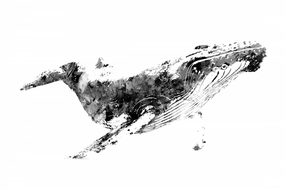 Watercolor Humpback Whale by Rafal Kulik — canvas wall art