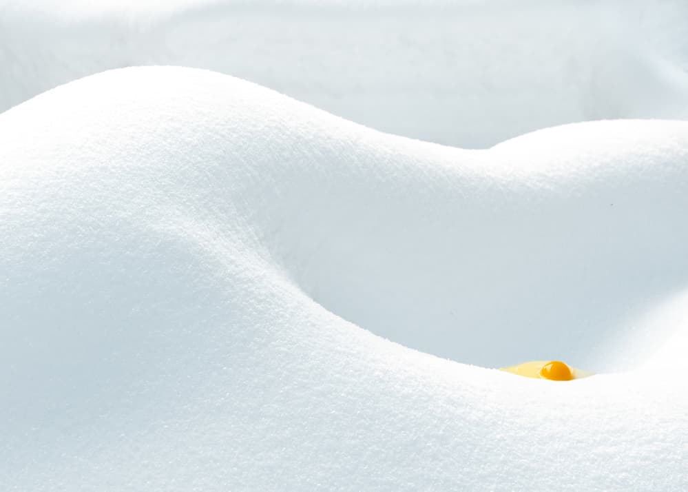 Orange in White Snow by Ulrike Eisenmann — canvas wall art