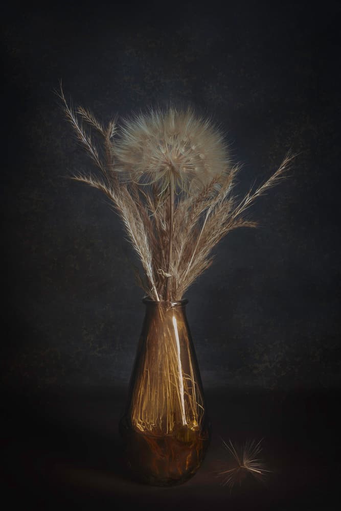 Elegant Dandelion Still Life by Cicek Kiral — canvas wall art