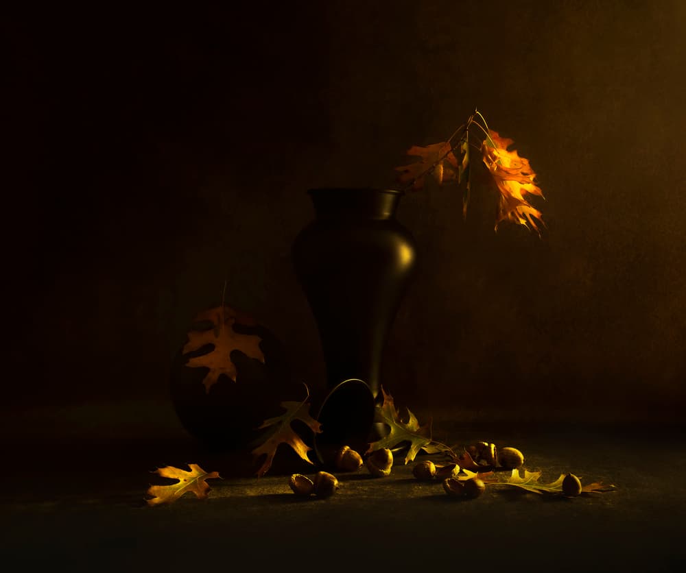Golden Autumn Acorns by Judy Tseng — canvas wall art