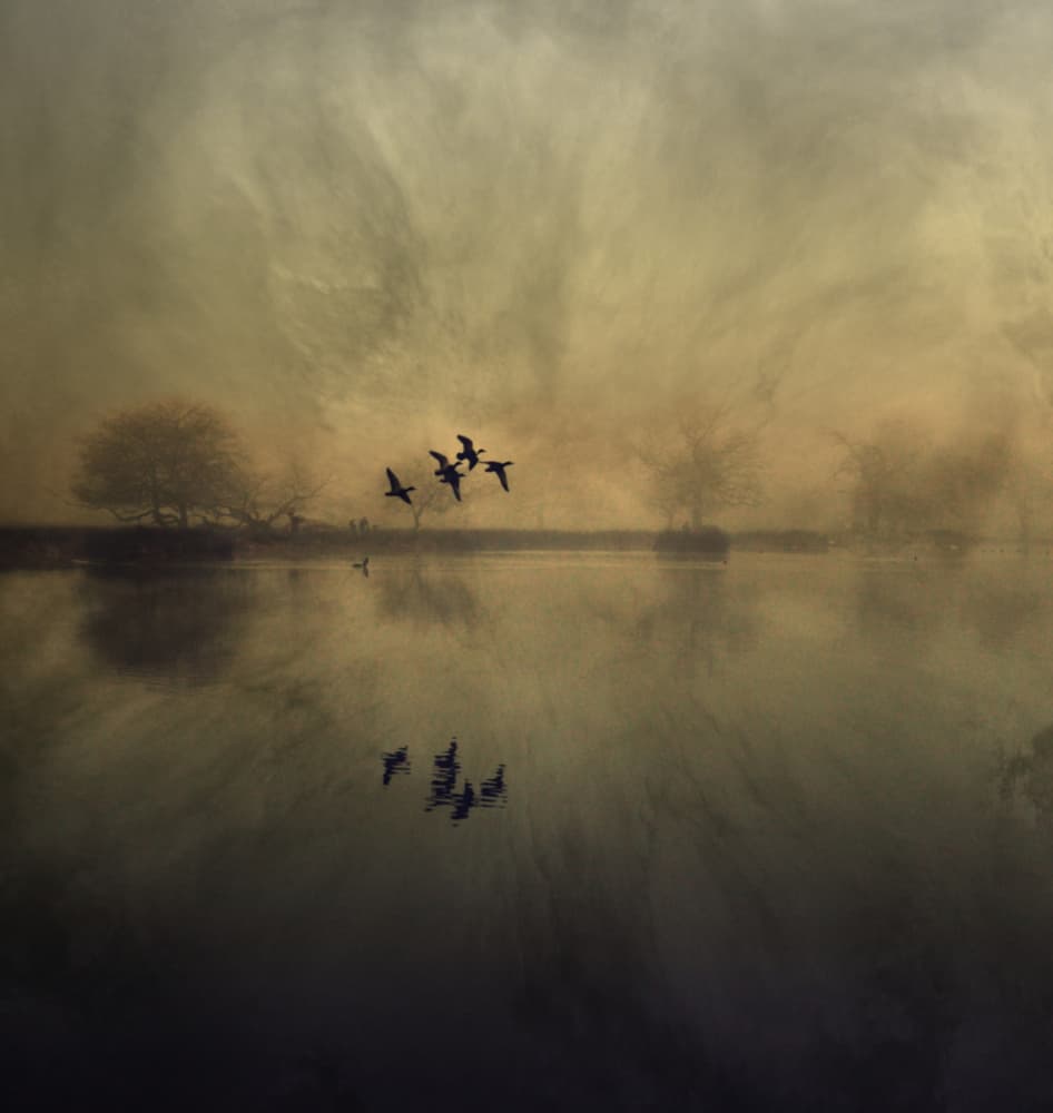 Birds Over Misty Lake by Robert Fabrowski — canvas wall art
