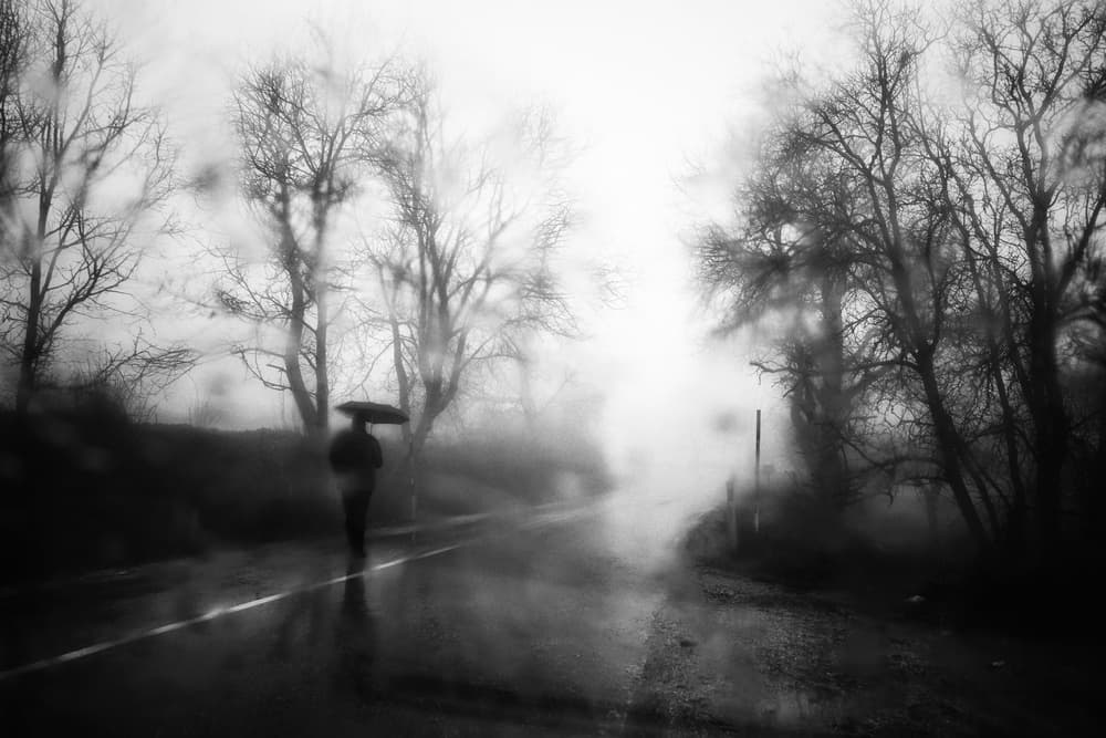 Solitary Walk Fog by Ali Ayer — canvas wall art