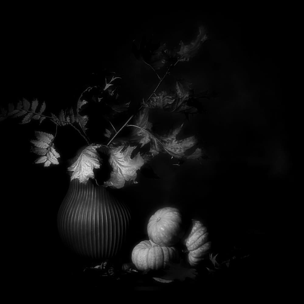Dark Autumn Still Life by Saskia Dingemans — canvas wall art