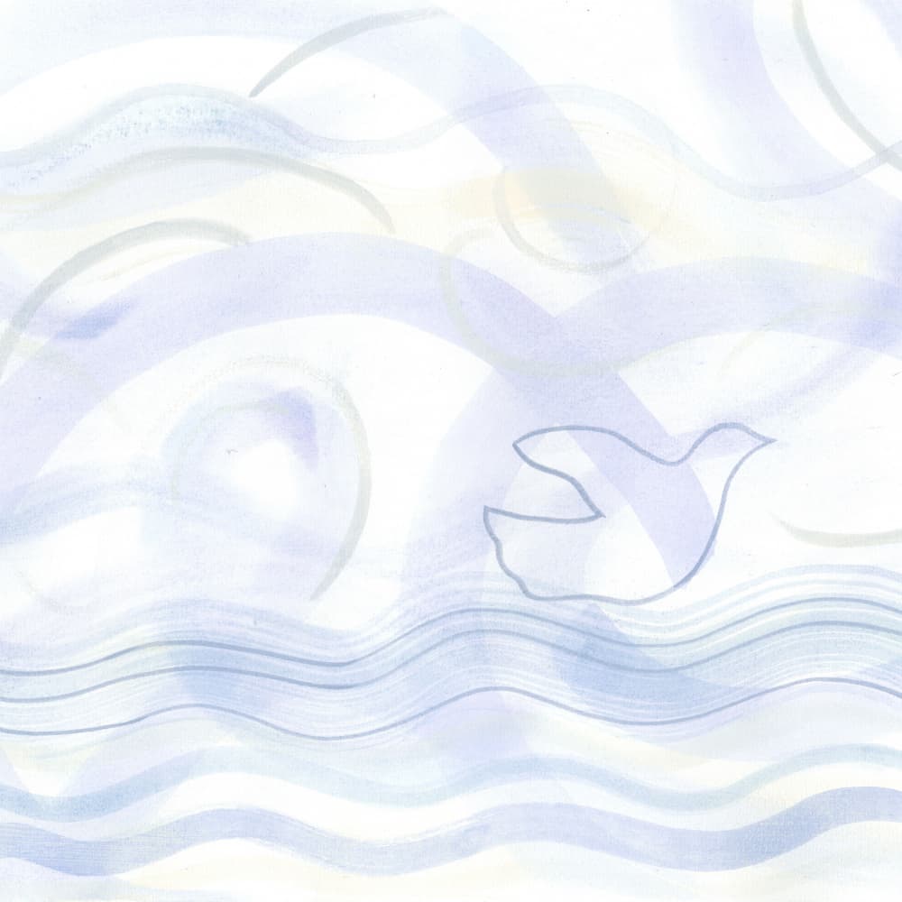 Ocean Dove Square by Isabelle Brent — canvas wall art