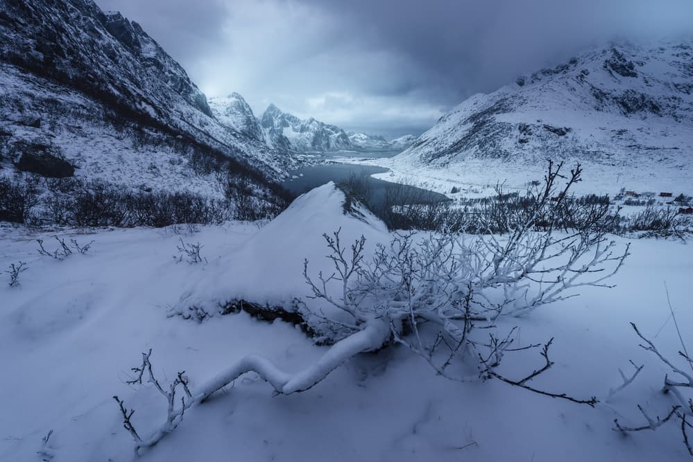 Snowy Mountain Fjord by David Martin Castan — canvas wall art