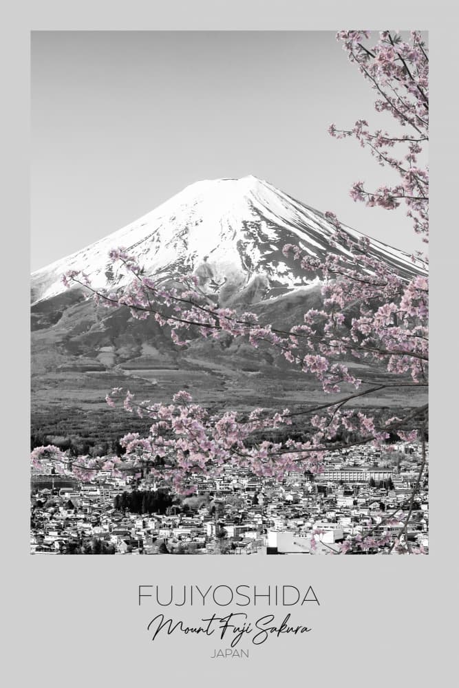Mount Fuji Pink Sakura by Melanie Viola — canvas wall art