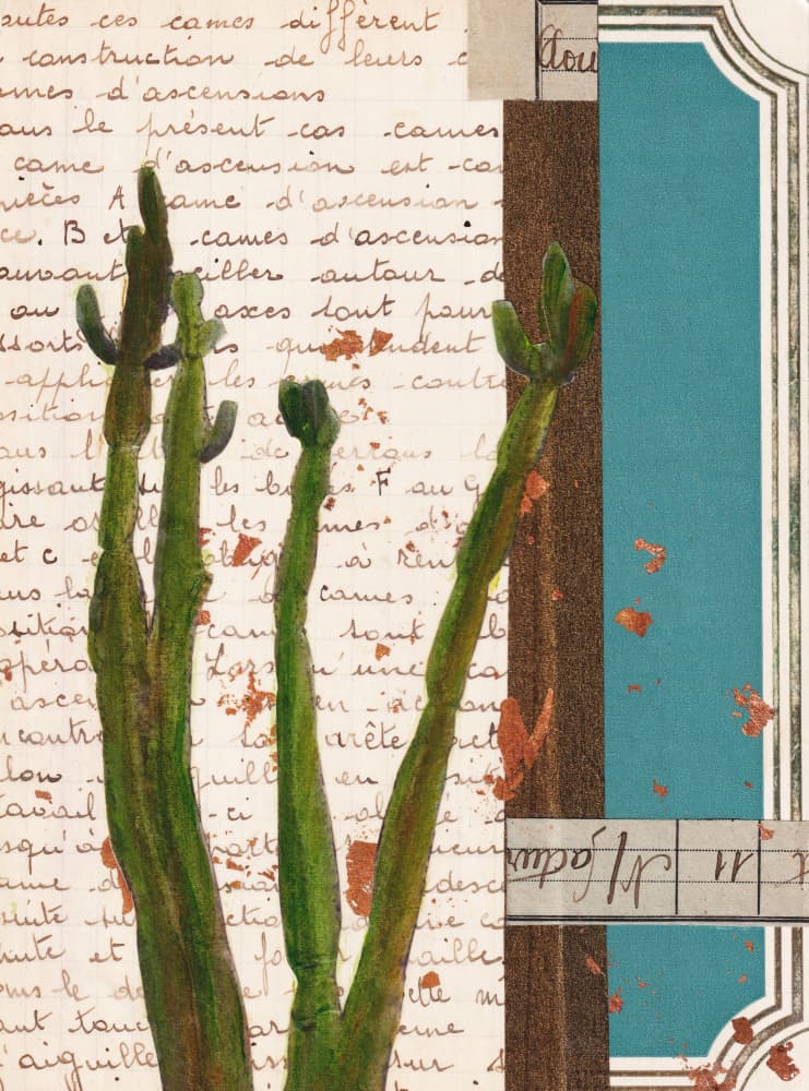 Green Cactus Collage by Lene Bladbjerg — canvas wall art