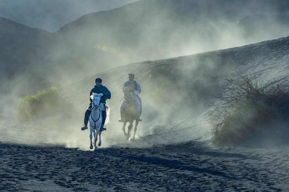 Riders in the Dust by Sally Widjaja — canvas wall art