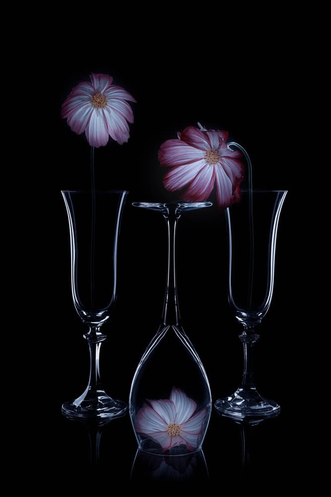 Delicate Blooms Glass Flutes by Lydia Jacobs — canvas wall art