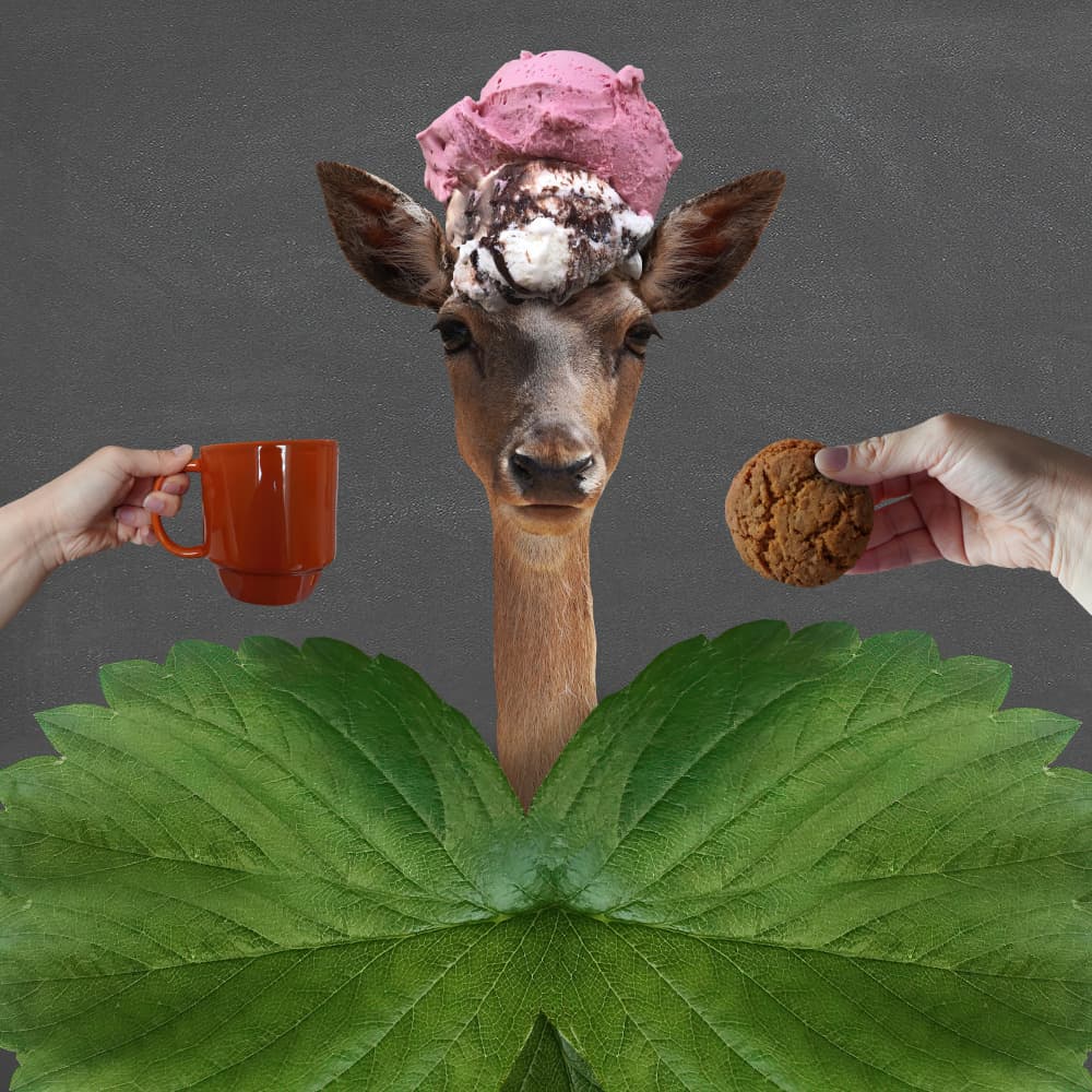 Whimsical Deer's Sweet Treat by Collage Malage — canvas wall art