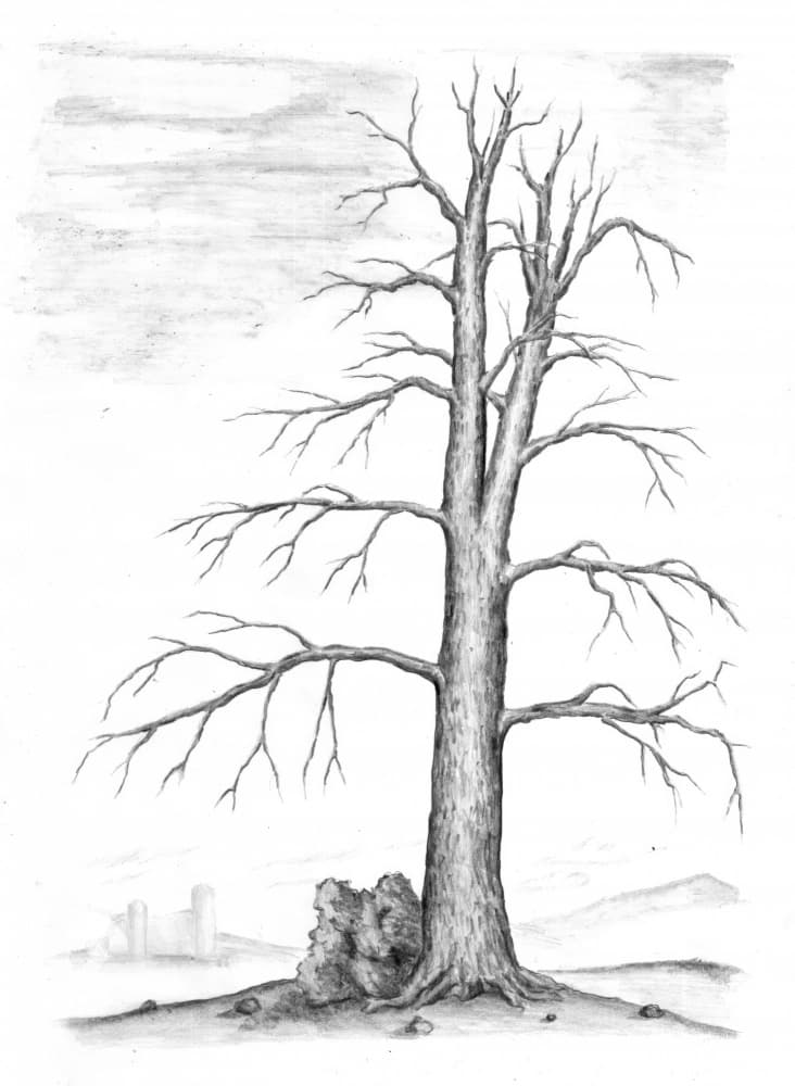 Stark Winter Tree Castle by Kulik — canvas wall art