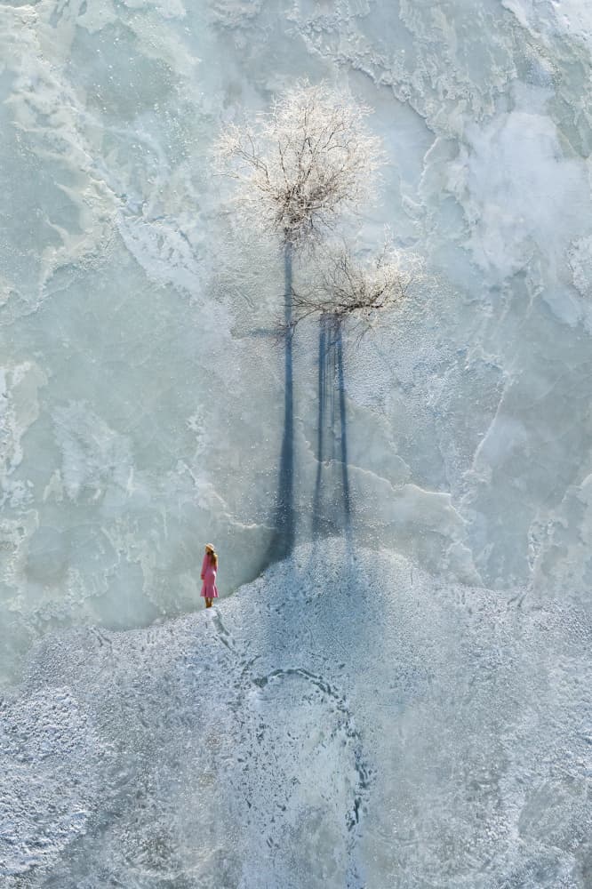 Winter Solitude Pink Dress by Songlin Xu — canvas wall art