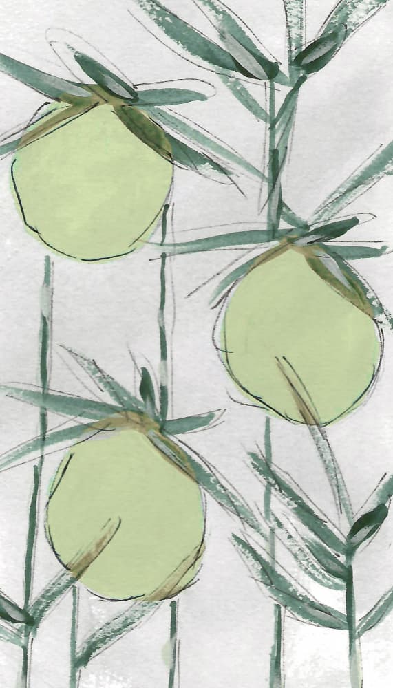 Fresh Green Botanicals by Lori Ann Folz — canvas wall art