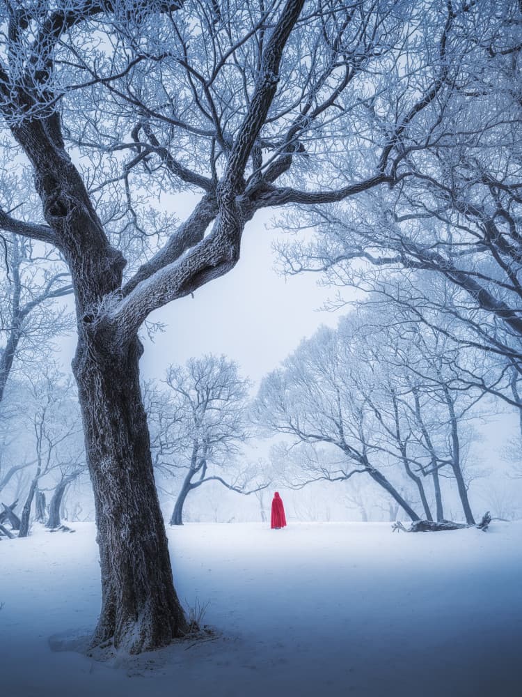 Red Cloak Snowy Forest by Yuan Cui — canvas wall art
