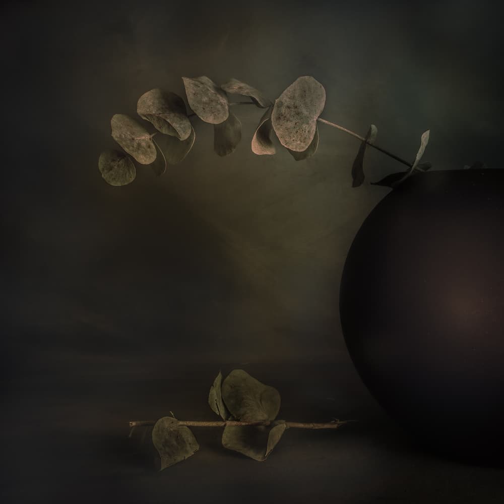 Moody Eucalyptus Still Life by Cicek Kiral — canvas wall art