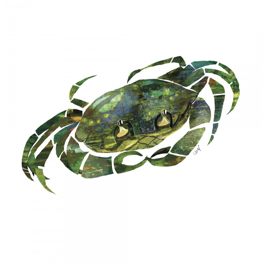 Textured Green Crab by Claire Hanley — canvas wall art
