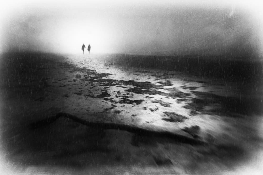 Misty Winter Walk by Gustav Davidsson — canvas wall art