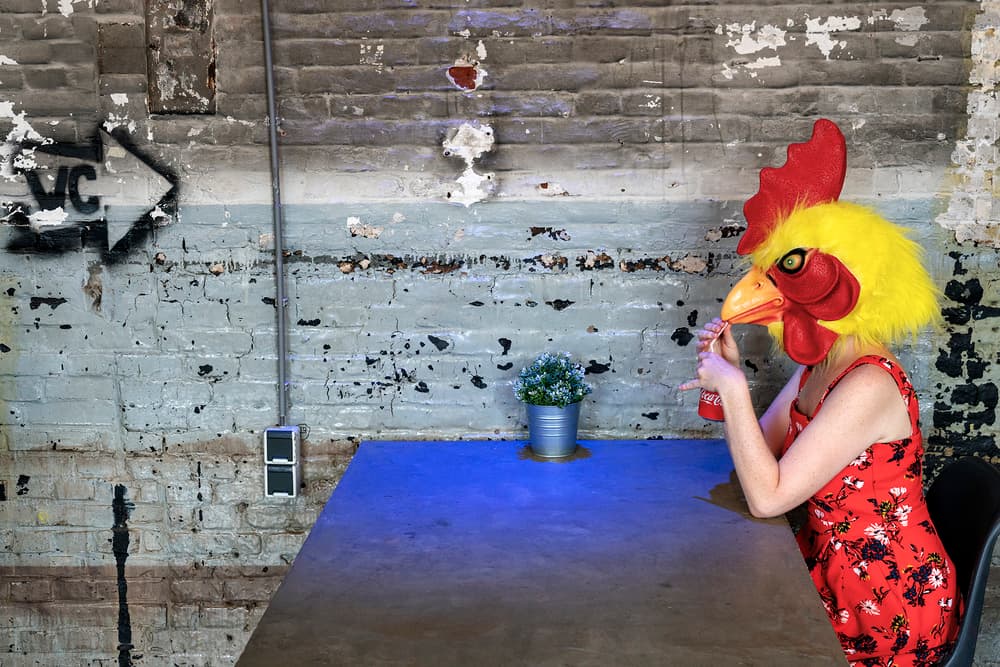 Quirky Chicken Drink by Ton Dirven — canvas wall art