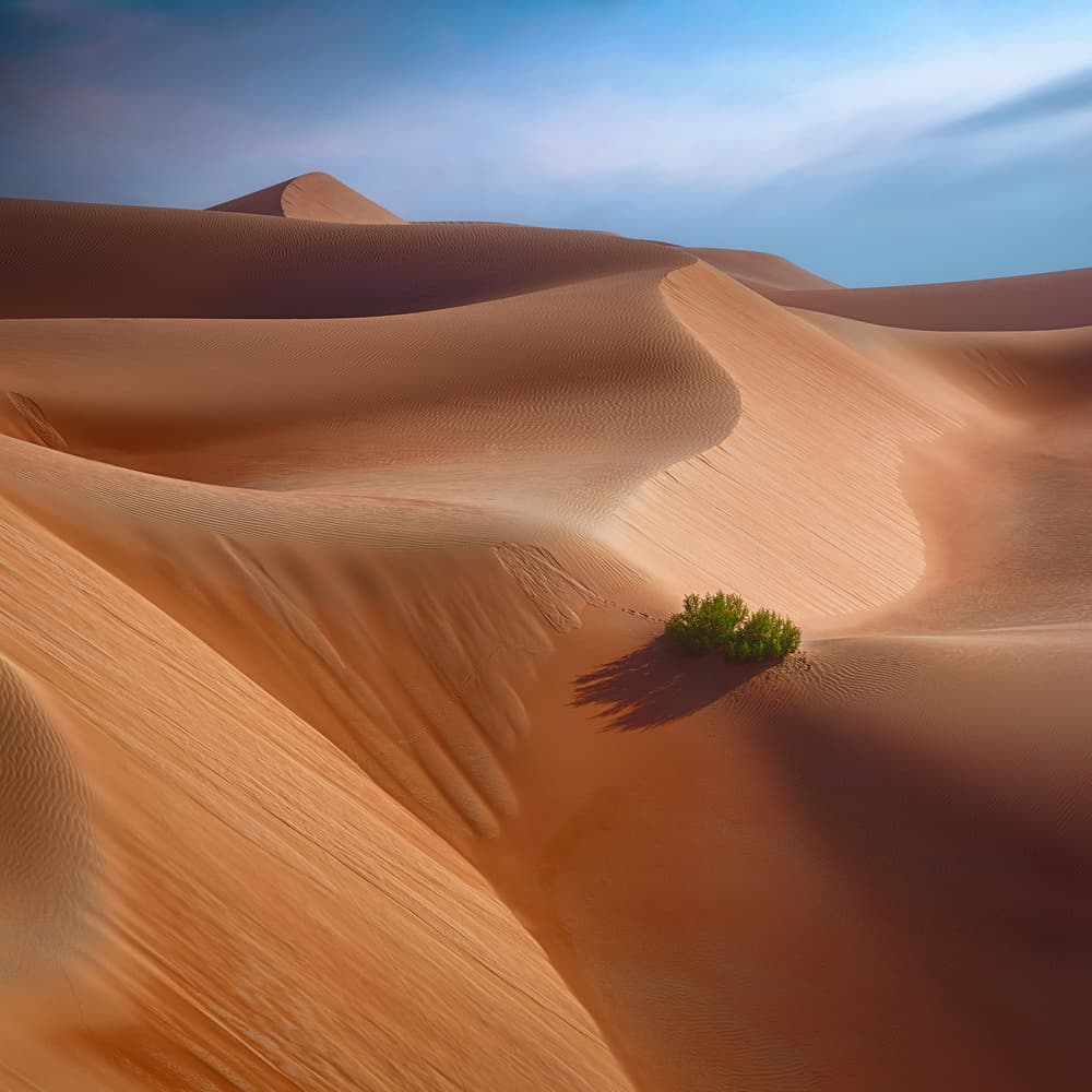 Golden Desert Dunes by joanaduenas — canvas wall art