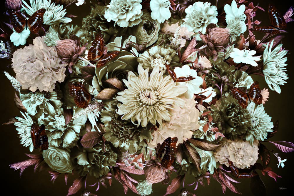 Dark Floral Butterflies by Sue Skellern — canvas wall art