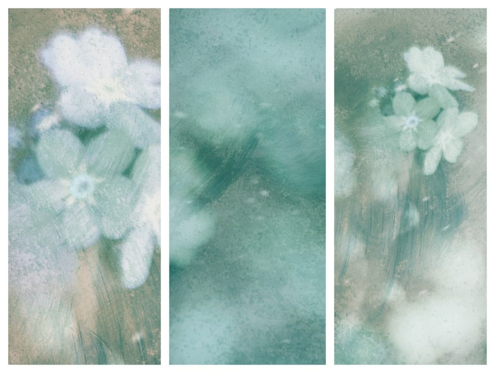 Dreamy Pastel Blooms by Delphine Devos — canvas wall art