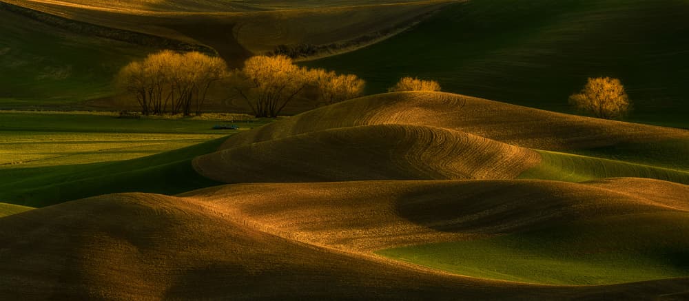 Warm Golden Rolling Hills by Lydia Jacobs — canvas wall art