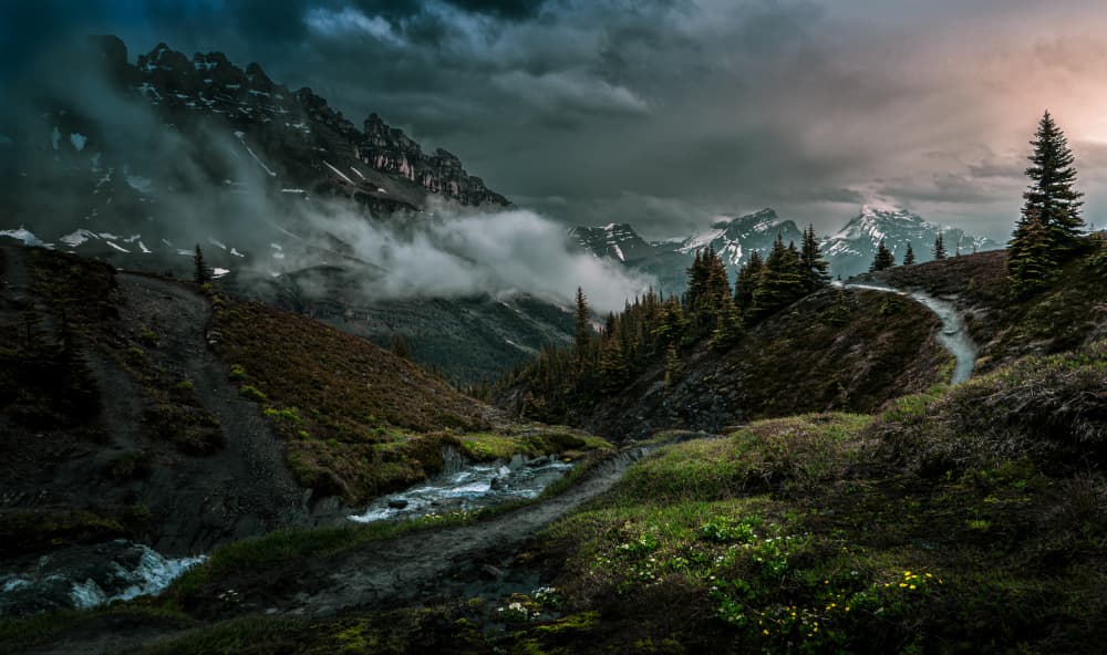 After a light shower...... by Bing Li — canvas wall art