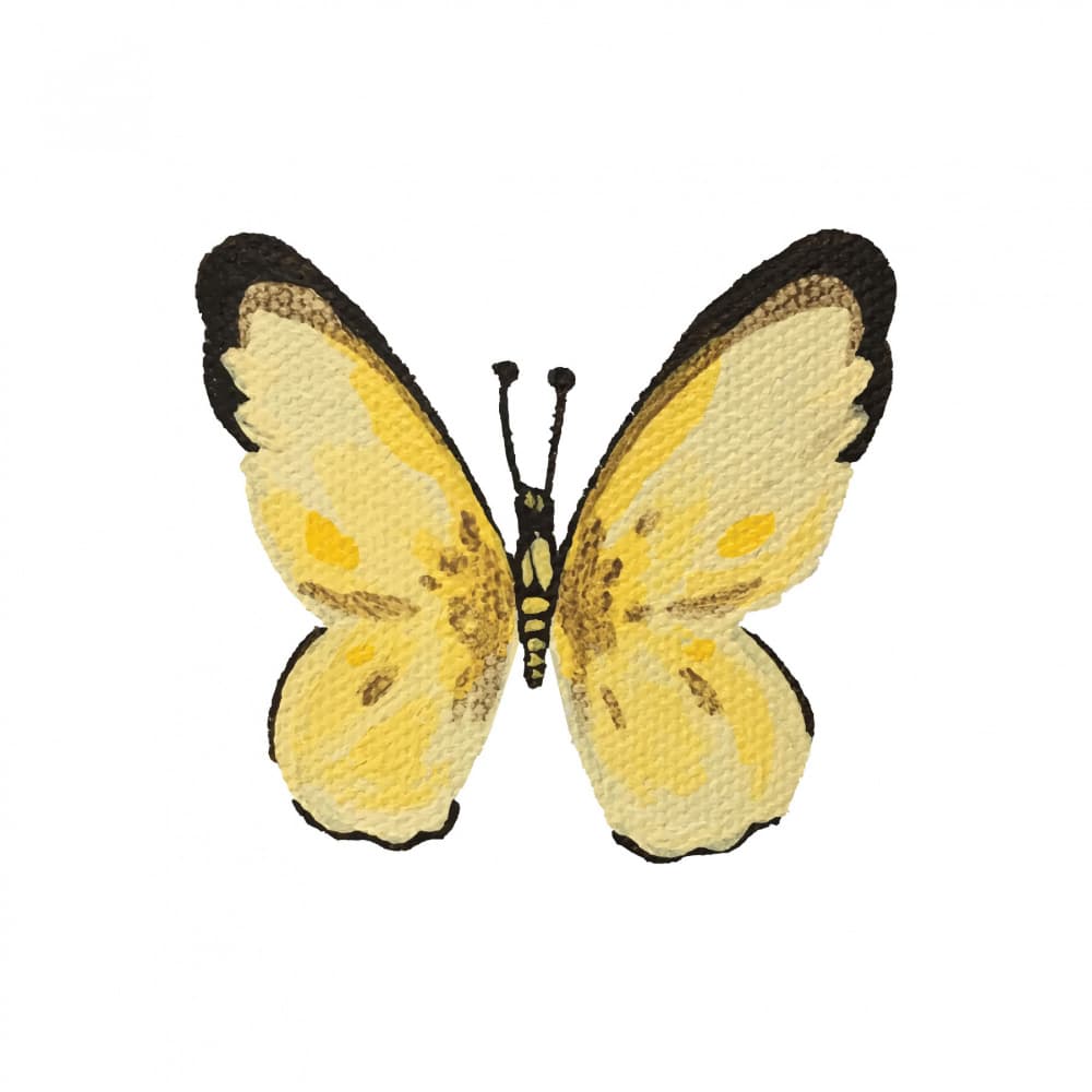 Golden Yellow Butterfly by Madison Phipps — canvas wall art