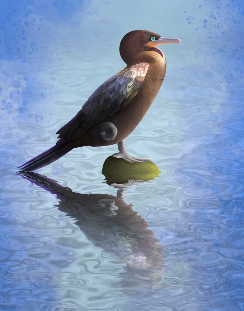 Serene Water Bird by Franco Caballero — canvas wall art