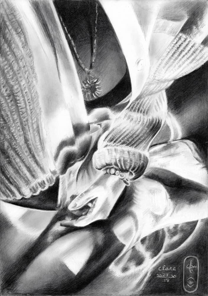 Hands in Light and Shadow by Corné Akkers — canvas wall art