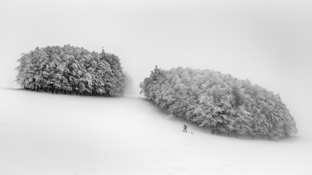 Frosted Forest Walk by Aleš Klabus — canvas wall art