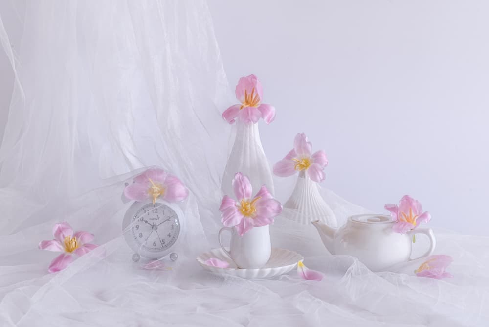 Soft Pink Tulips by Alice Sheng — canvas wall art