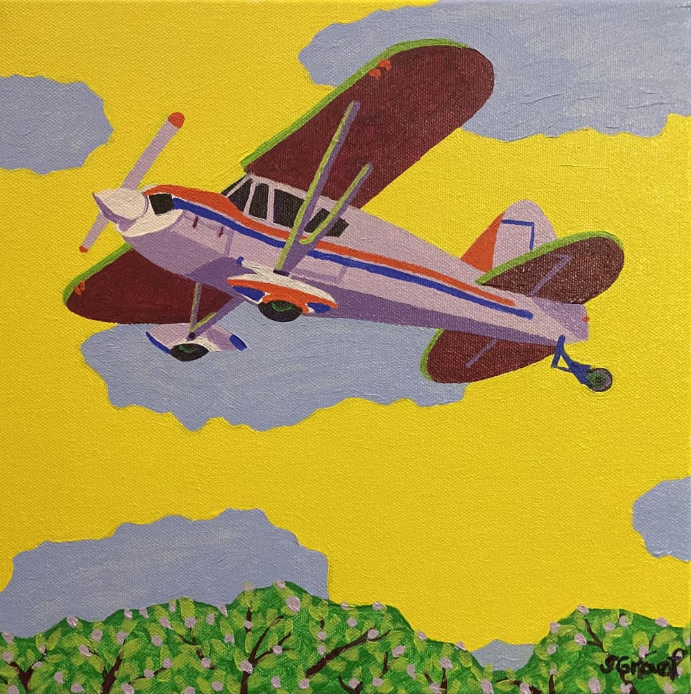 Flying by Sue Graef — canvas wall art