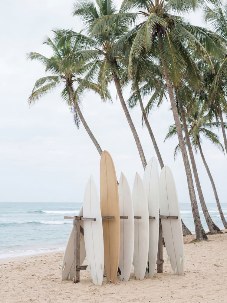 Tropical Surfboards On Beach by Andreas Magnusson — canvas wall art
