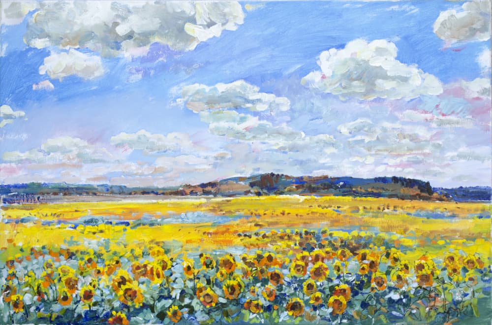 Sunlit Sunflower Field by Andrii Kutsachenko — canvas wall art