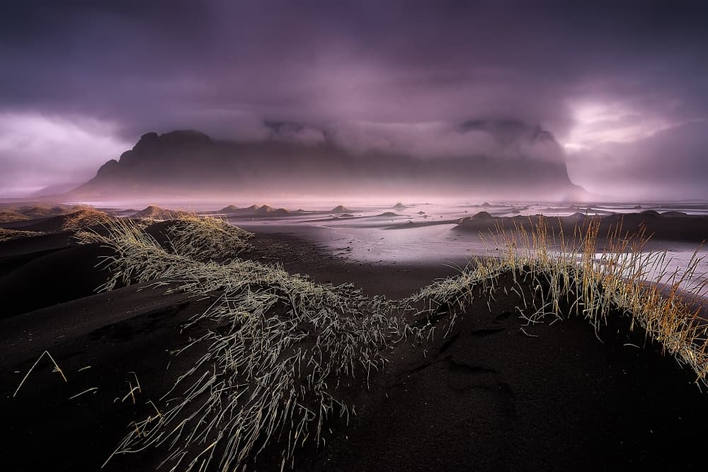 Misty Purple Mountains by David Martin Castan — canvas wall art