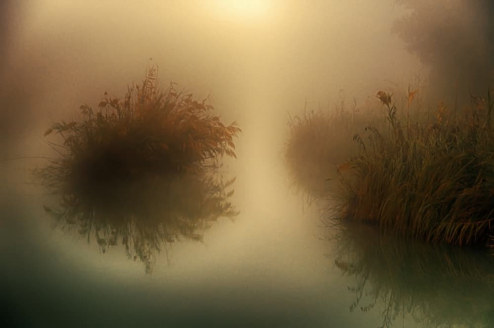 Misty Golden Water by Miki Meir Levi — canvas wall art