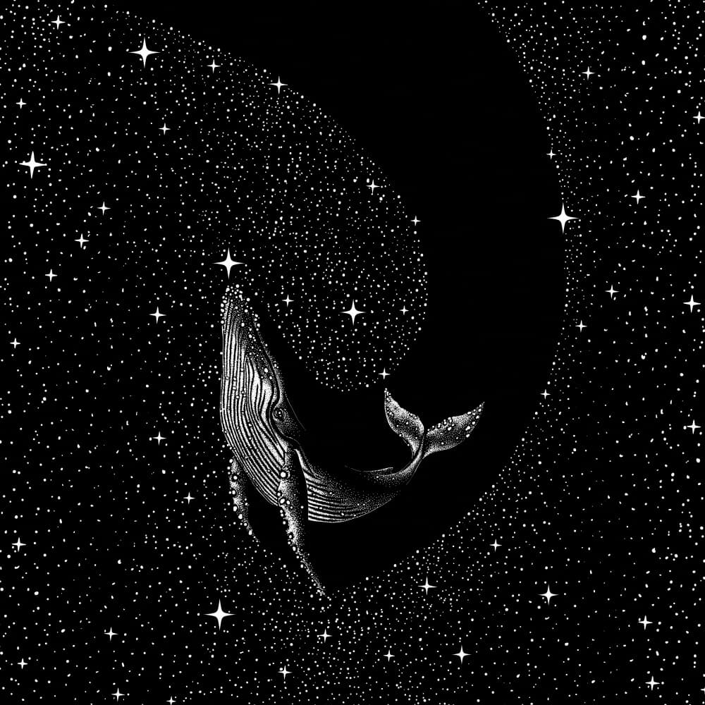 Cosmic Whale by Alirıza ÇAKIR — canvas wall art