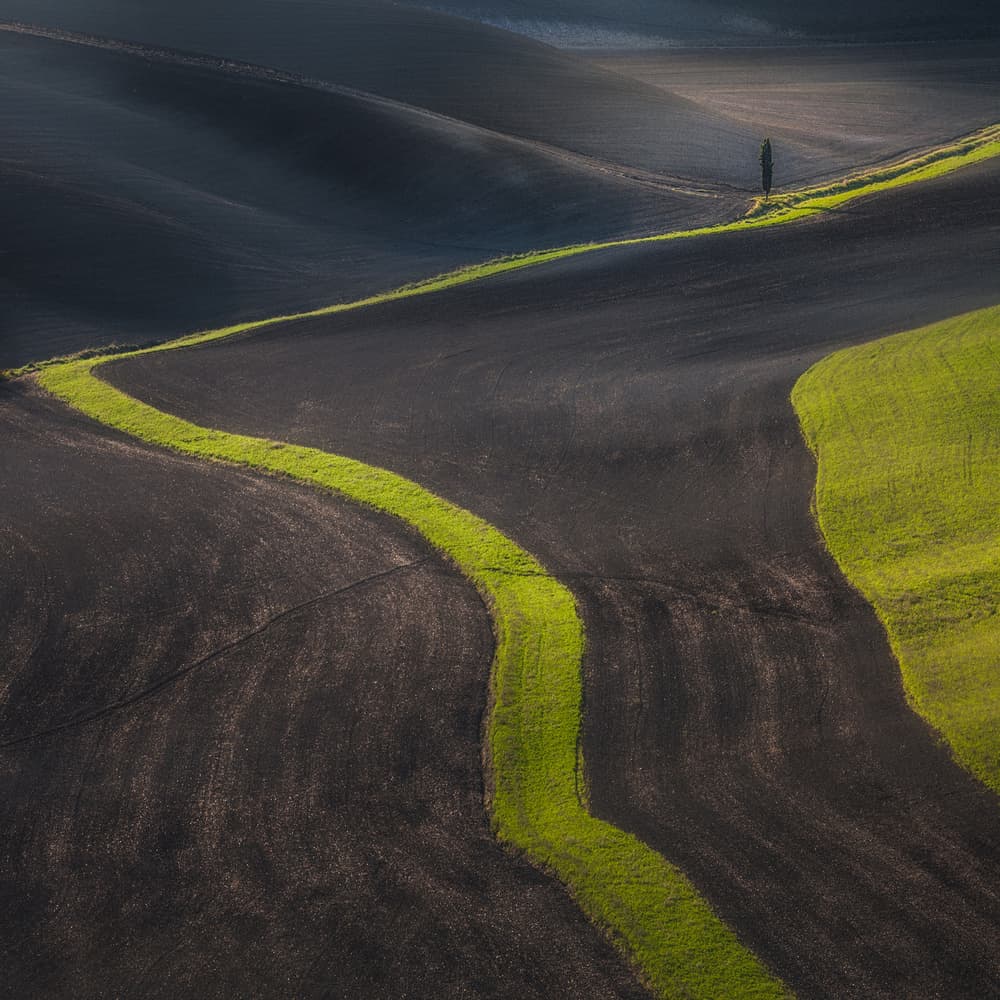 Winding Green Hills by Peter Svoboda MQEP — canvas wall art